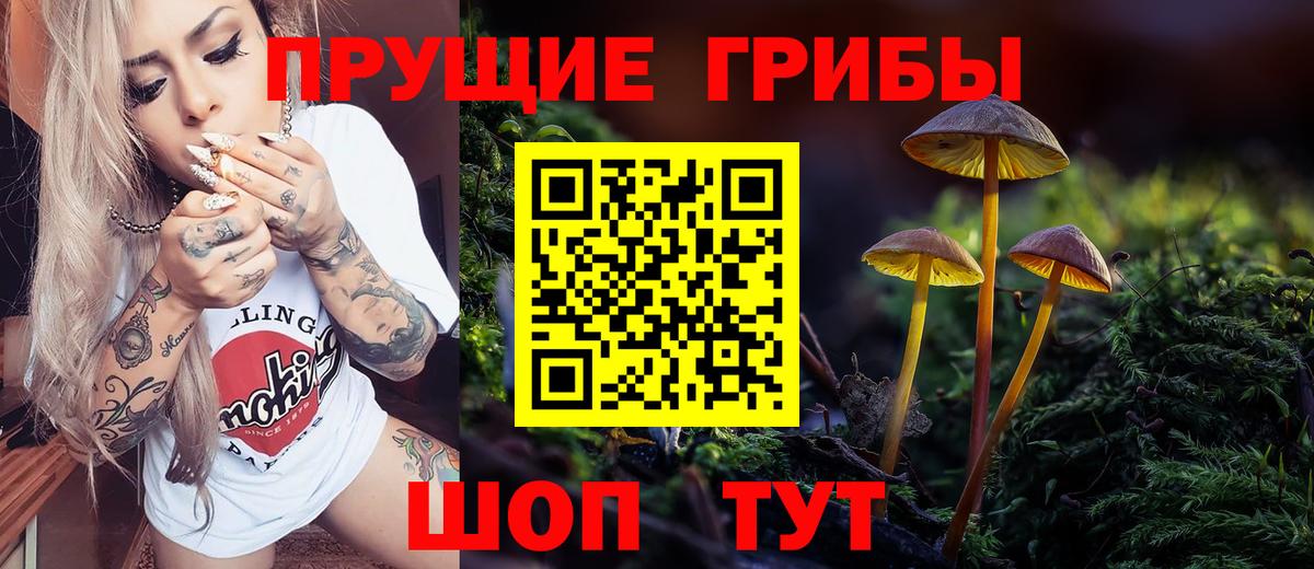Галлюциногенные грибы Psilocybe Красноярск